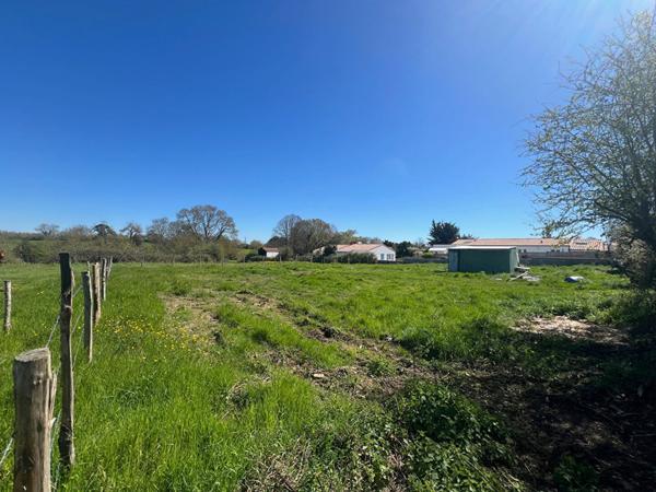 Terrain Saint Vincent Sur Jard - Hors Lotissement