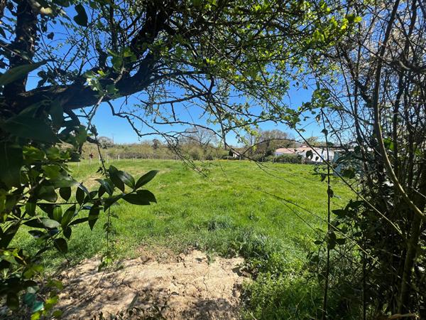 Terrain Saint Vincent Sur Jard - Hors Lotissement