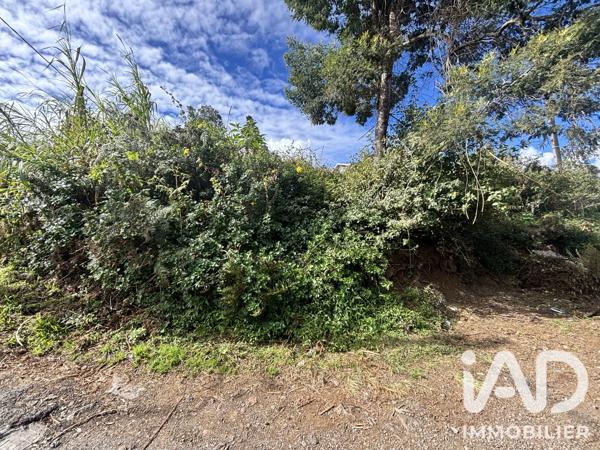 Terrain à vendre 2 219 m² Le Tampon