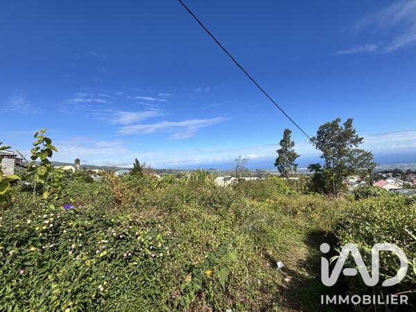 Terrain à vendre 2 219 m² Le Tampon
