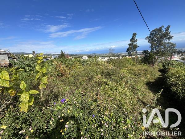 Terrain à vendre 2 219 m² Le Tampon