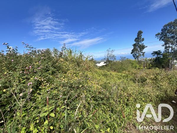 Terrain à vendre 2 219 m² Le Tampon