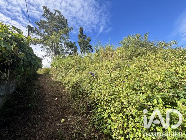 Terrain à vendre 2 219 m² Le Tampon