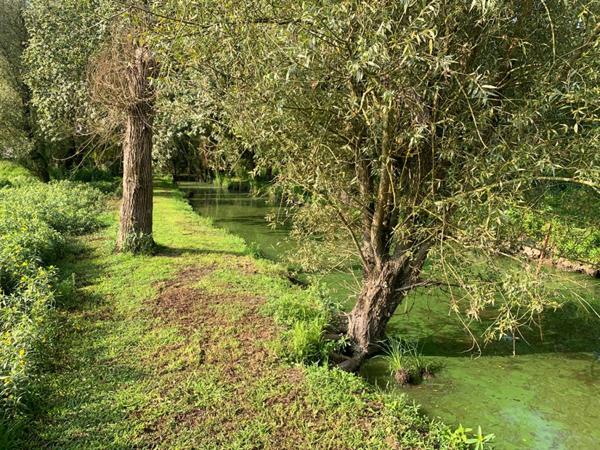 Batisse sur terrain de 1899 m² sur la chevroliere