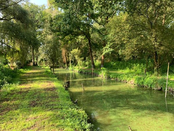 Batisse sur terrain de 1899 m² sur la chevroliere