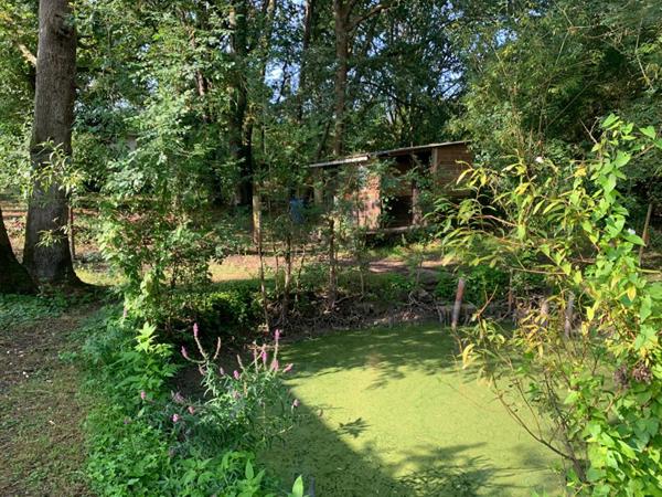 Batisse sur terrain de 1899 m² sur la chevroliere