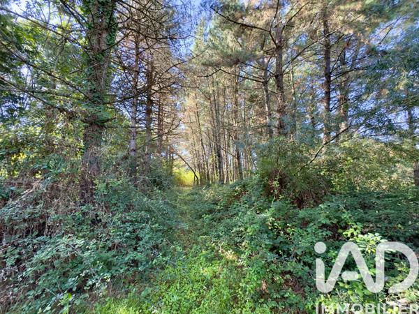 Maison à vendre 5 pièces 145 m² Condéon