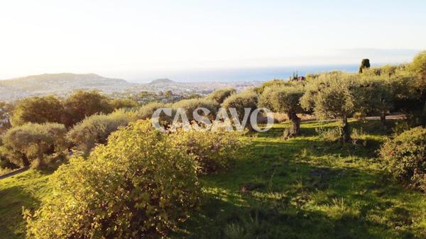 Vente Maison de 3337m² - 06100 Nice