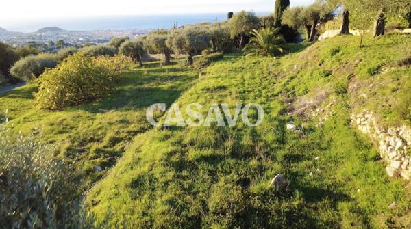 Vente Maison de 3337m² - 06100 Nice