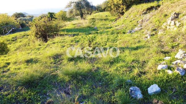 Vente Maison de 3337m² - 06100 Nice