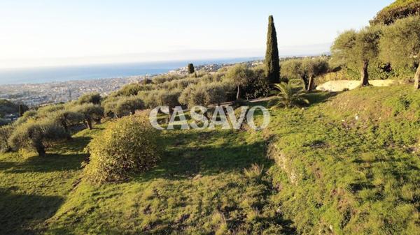 Vente Maison de 3337m² - 06100 Nice