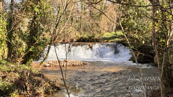 Maisonbois Bioclimatique à vendre 7 pièces SOREZE (81)
