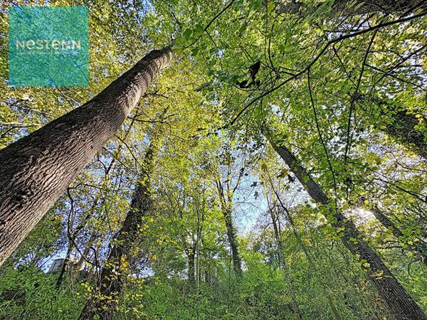 Terrain à vendre 776m2 au coeur de Venerque 31810