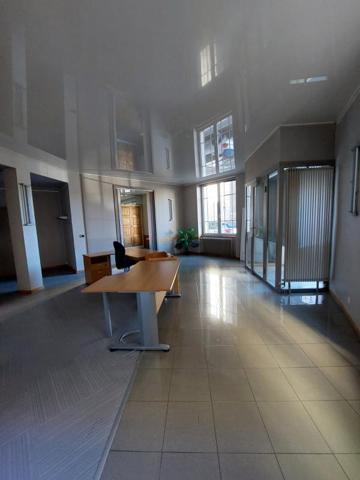 Local professionnel /PLACE MICHELET 43000 LE PUY EN VELAY