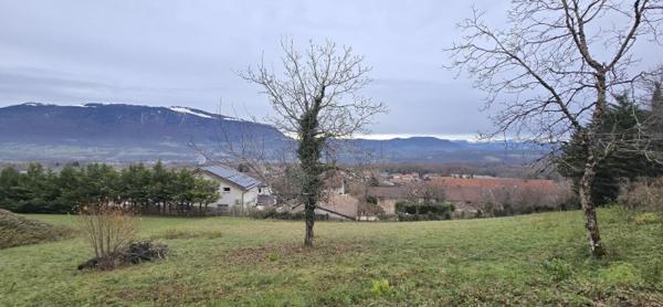 Vente / Terrain constructible