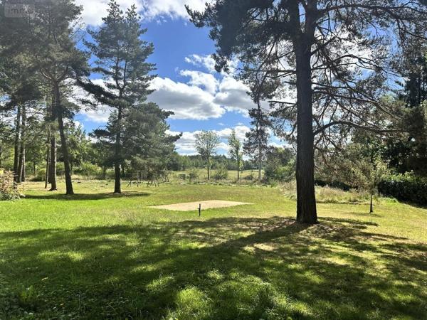 Fonds et/ou murs commerciaux à vendre à Anglards-de-Saint-Flour dans le Cantal (15100), ref : 15046-51