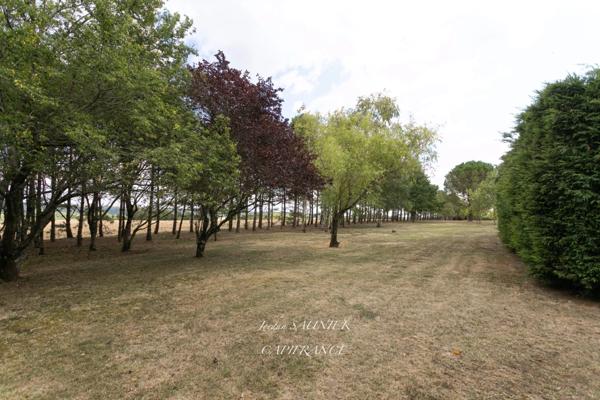 Propriete à vendre 6 pièces proche de REVEL (31)