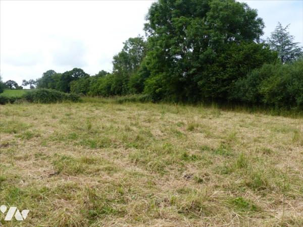 SAINT SYMPHORIEN LE VALOIS