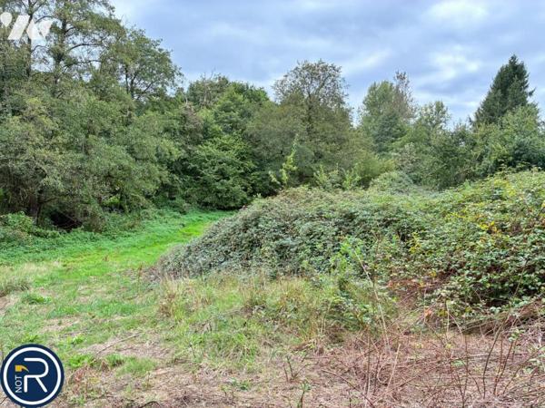 MONTAUDIN -Terrain de loisirs