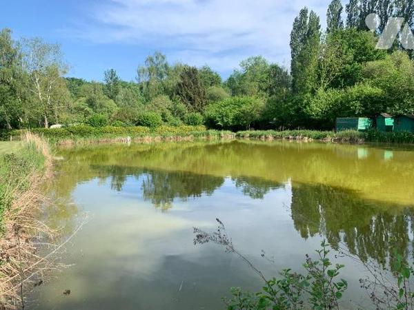 Beau terrain avec plan d'eau et un abri pour caravane.