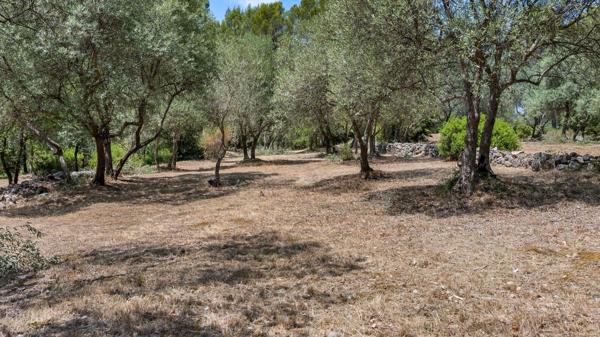 Vente Maison provençale de luxe Draguignan 6 Pièces 178 m²