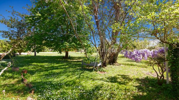 Vente
                Maison281,9 m² - 13 Pièces -
                    SAINT SULPICE LA POINTE (81370)