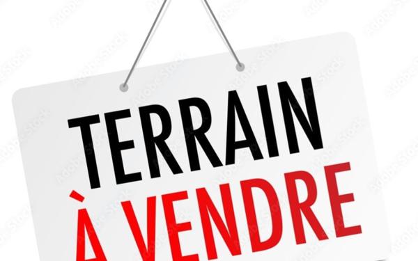 Terrain à vendre    Muizon