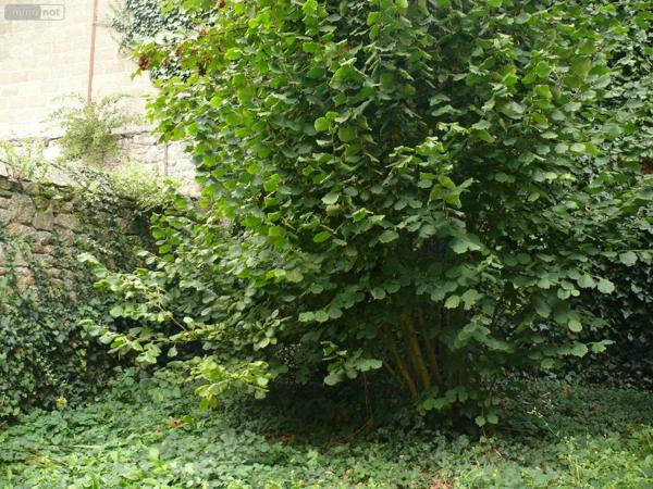 Achat - Maison Dinan 22100 6 pièces 90 m 2 180 m 2