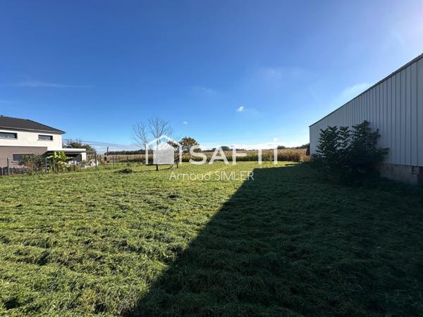 Terrain viabilisé de 10 ares à vendre à Saasenheim !