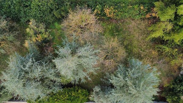 Terrain  en vente - Hérault - 34