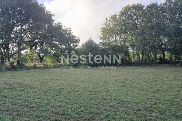 Exclusivité NesteNN, terrain à vendre
