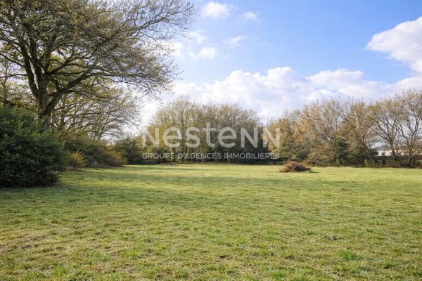 Exclusivité NesteNN, terrain à vendre
