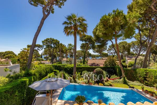 Cap d'Antibes | Dans la Pinède