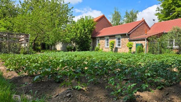 Maison individuelle de plain pied