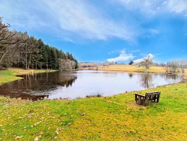 Lacs à vendre à Ladignac-le-Long (87500) - Haute-Vienne