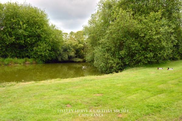 Dpt MANCHE(50), Saint Michel de Montjoie à vendre maison 170m2 P7