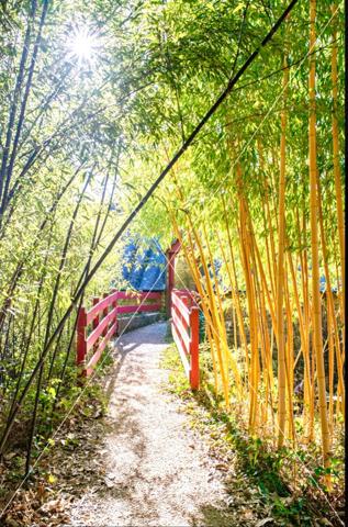 Dpt Morbihan (56), à vendre LE FAOUET Propriété du 19ème de 890 m² sur Domaine de 8 Hectares