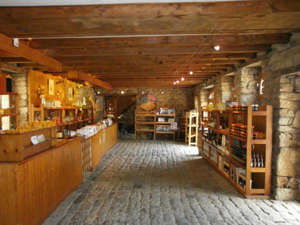 Dpt Morbihan (56), à vendre LE FAOUET Propriété du 19ème de 890 m² sur Domaine de 8 Hectares