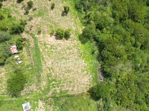 A vendre – TERRAIN CONSTRUCTIBLE DE 1919m² – LE CARBET - Quartier Bel-Event