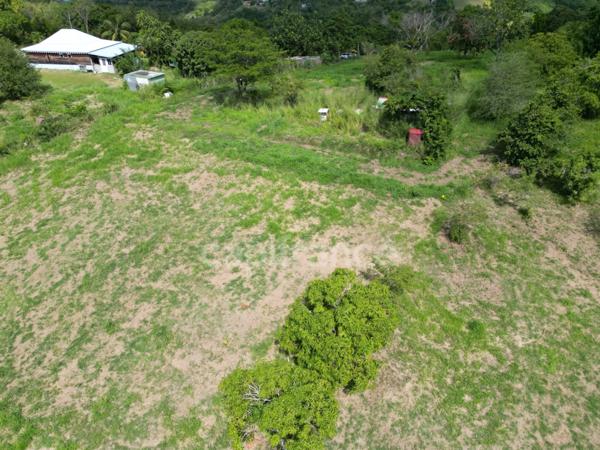 A vendre – TERRAIN CONSTRUCTIBLE DE 1919m² – LE CARBET - Quartier Bel-Event