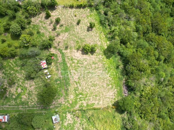 A vendre – TERRAIN CONSTRUCTIBLE DE 1919m² – LE CARBET - Quartier Bel-Event