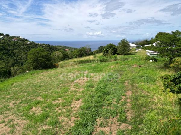 A vendre – TERRAIN CONSTRUCTIBLE DE 1919m² – LE CARBET - Quartier Bel-Event