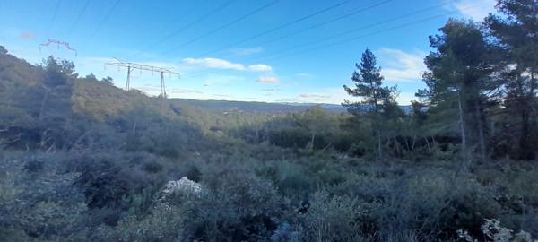 Flassans-sur-Issole (83340) Terrain de loisirs, 11370m², accès par piste