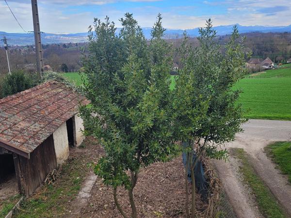 Maison Type T3 de 79m² environ sur  environ 200m² de jardin à restaurer