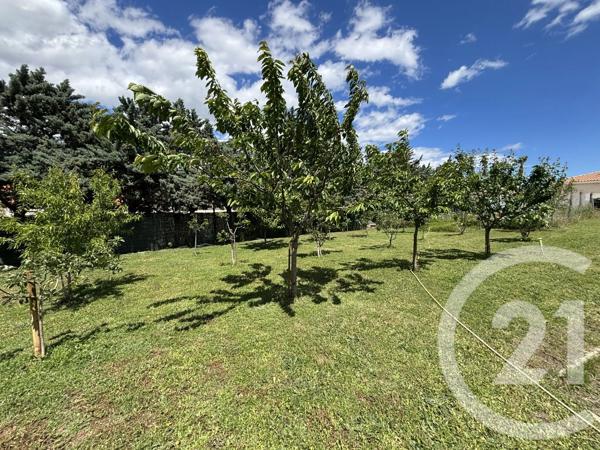 Terrain à vendre  1060 m 2   CABESTANY  - 66