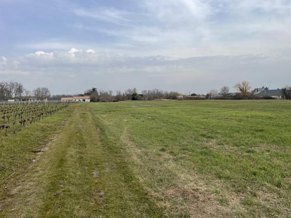 Saint-Christoly-de-Blaye (33920) Terrain constructible viabilisé d'environ 630m2