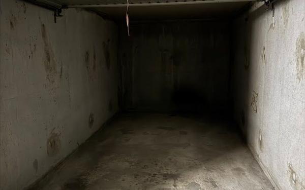 Stationnement à louer    Lyon 7