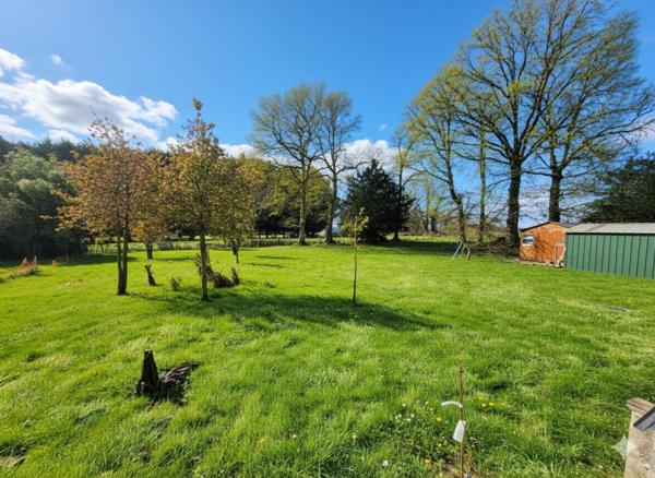 Une maison où il fait bon vivre, entre nature et confort moderne