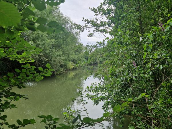 terrain en bord d huisne