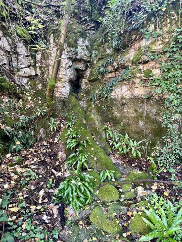 Vente Maison 6 pièces 158 m2 à Salviac